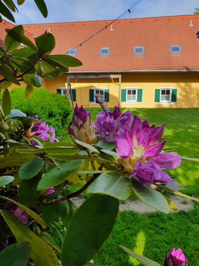 Landhof Steinbaeck Hotel Sankt Stefan ob Stainz Екстериор снимка